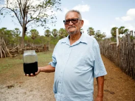 Mancha escura intriga agricultor no interior do Ceará