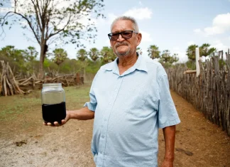 Mancha escura intriga agricultor no interior do Ceará