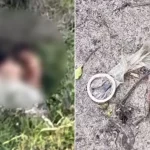 Vereadora denuncia sexo coletivo em trilha de praia em SC