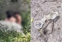Vereadora denuncia sexo coletivo em trilha de praia em SC