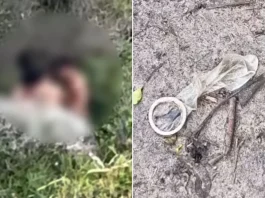 Vereadora denuncia sexo coletivo em trilha de praia em SC