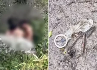 Vereadora denuncia sexo coletivo em trilha de praia em SC