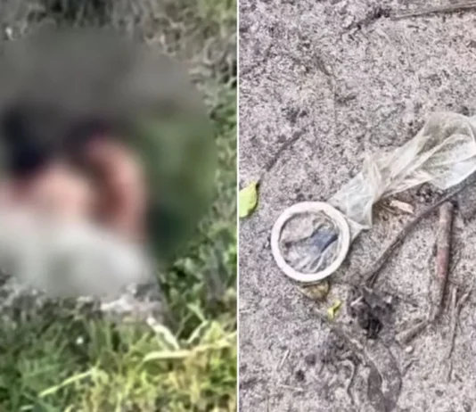 Vereadora denuncia sexo coletivo em trilha de praia em SC