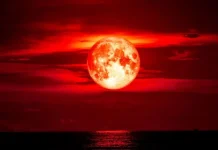 Eclipse lunar total será visto parcialmente no Brasil na manhã de terça