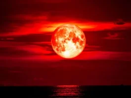 Eclipse lunar total será visto parcialmente no Brasil na manhã de terça