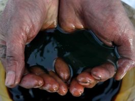 Petrobras encontra hidrocarbonetos em poço na costa do Amapá