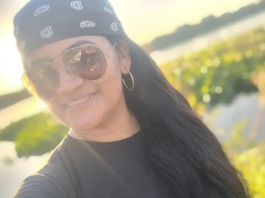 Professora morre após ataque de abelhas no Pantanal de MT