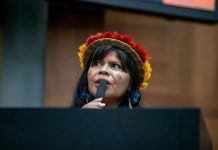 Mulher indígena assume vaga inédita na Assembleia de MT