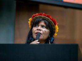 Mulher indígena assume vaga inédita na Assembleia de MT