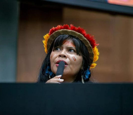Mulher indígena assume vaga inédita na Assembleia de MT