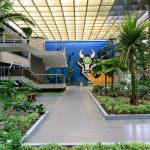 Governo de MT decreta ponto facultativo na segunda-feira (29)