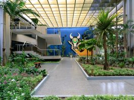 Governo de MT decreta ponto facultativo na segunda-feira (29)