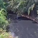 Rompimento em ETE contamina córrego e gera emergência em MT