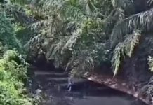 Rompimento em ETE contamina córrego e gera emergência em MT