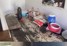 Liminar atinge construtora por trabalho análogo à escravidão