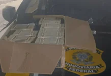 Homem é flagrado com R$ 746 mil em dinheiro vivo e diz à PRF que pegou o valor em reunião do Podemos