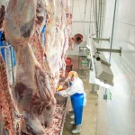 Matadouro irregular é interditado em cidade de Mato Grosso por risco à saúde pública