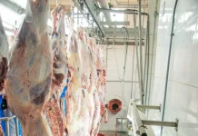 Matadouro irregular é interditado em cidade de Mato Grosso por risco à saúde pública