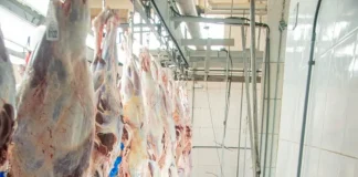 Matadouro irregular é interditado em cidade de Mato Grosso por risco à saúde pública