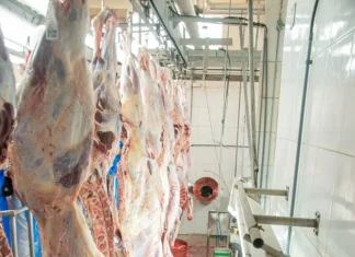 Matadouro irregular é interditado em cidade de Mato Grosso por risco à saúde pública