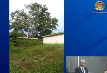 Pista do Cabeça: Naldo expõe falhas na saúde e educação e cobra providências