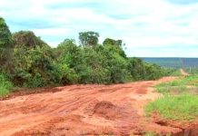 Câmara de Alta Floresta cobra melhorias na segurança viária e na malha urbana e rural