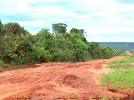 Câmara de Alta Floresta cobra melhorias na segurança viária e na malha urbana e rural