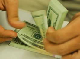 Dólar cai para R$ 4,95 e fecha no menor valor em dois anos