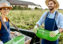 Agropecuária gera mais de 8 mil empregos formais em fevereiro
