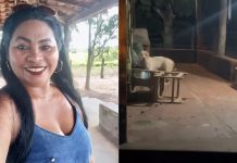 Feminicídio? Ataque de pitbull que matou mulher está sob suspeitas