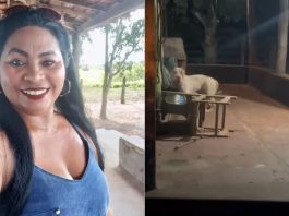 Mulher morre após ataque de pitbull em casa no interior do Maranhão