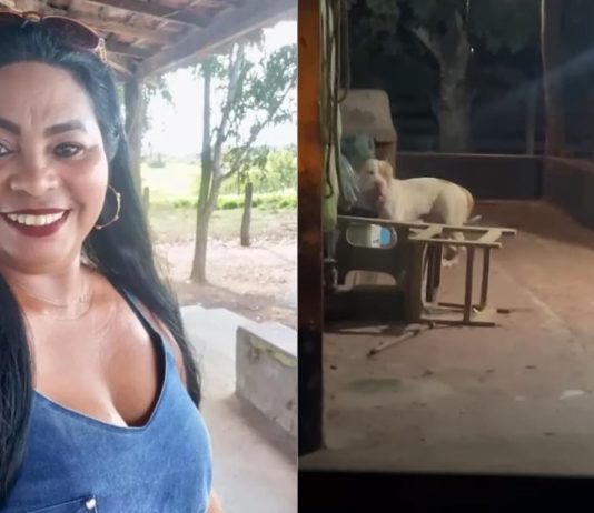 Feminicídio? Ataque de pitbull que matou mulher está sob suspeitas