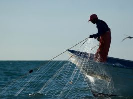 Lei que proíbe pesca em Mato Grosso não tem base científica e pode custar R$ 187 milhões ao ano