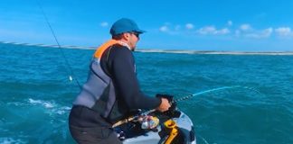 Pescador é cercado por tubarões durante pesca nos EUA