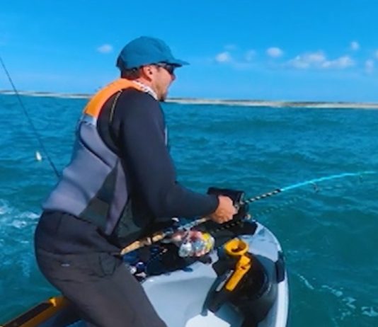 Pescador é cercado por tubarões durante pesca nos EUA