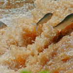 Período de defeso da Piracema será entre 1º de outubro de 2026 e 31 de janeiro de 2027 em MT