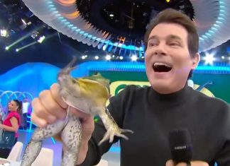 Justiça proíbe SBT de usar animais após caso de rã em programa