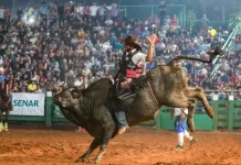 Justiça retoma proibição de animais em rodeios em Campinas
