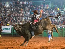 Justiça retoma proibição de animais em rodeios em Campinas