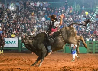 Justiça retoma proibição de animais em rodeios em Campinas
