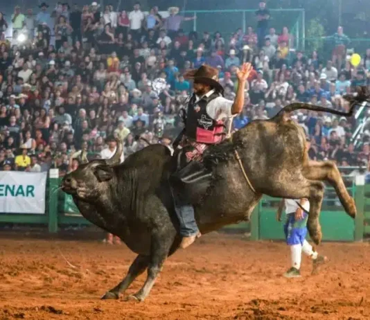 Justiça retoma proibição de animais em rodeios em Campinas