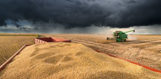 Colheita entra na fase final, mas clima irregular impõe ritmo desigual no campo