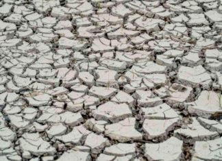 El Niño avança e liga alerta para safra brasileira de 2026/27