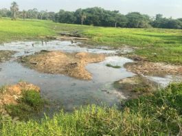 Tuti alerta para risco de seca e cobra ações preventivas em Alta Floresta