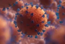 Nova variante da Covid é detectada em 23 países