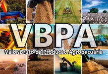VBP da agropecuária de Mato Grosso atinge R$ 208,3 bilhões e soja lidera com 44% do total