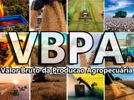 VBP da agropecuária de Mato Grosso atinge R$ 208,3 bilhões e soja lidera com 44% do total