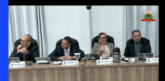 Tem vídeo: Gesto de vereadora em sessão viraliza e gera polêmica no CE