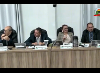 Tem vídeo: Gesto de vereadora em sessão viraliza e gera polêmica no CE