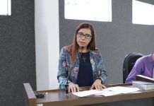 Elisa Gomes defende valorização do funcionalismo público, e cobra concessão de insalubridade